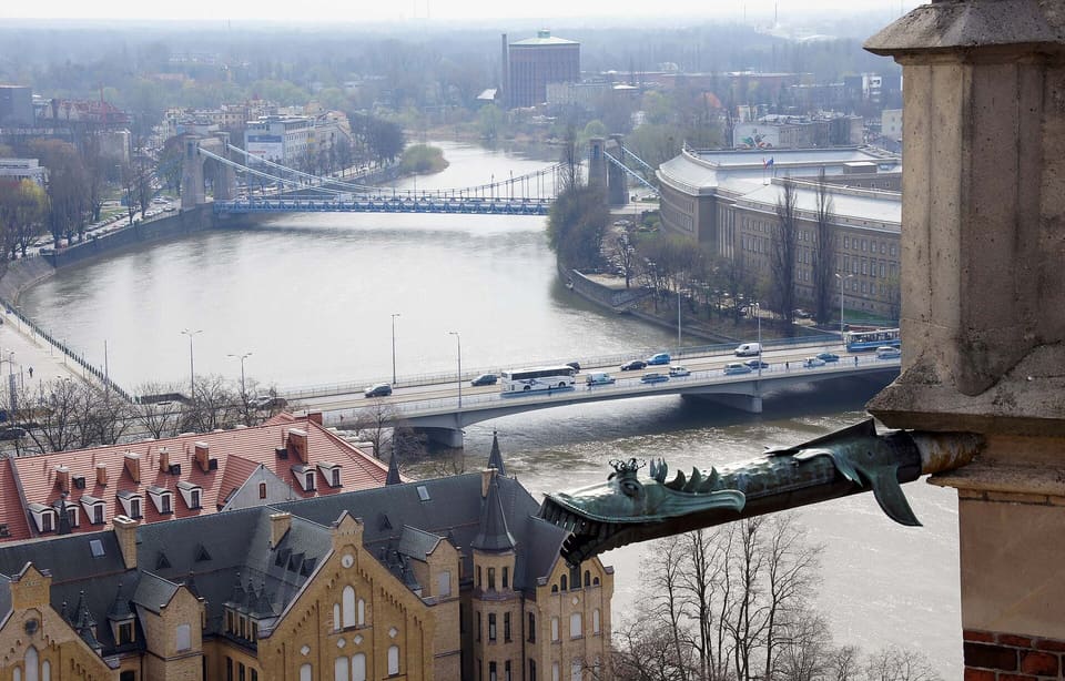 Widok z wieży katedry w dół na Odrę, z dwoma mostami nad rzeką i brązowym rzygaczem wysuniętym z wieży na pierwszym planie.