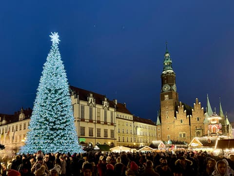 A large lit Christmas tree and market stalls on the Market Square at dusk, with a crowd in the foreground and the Gothic clock tower of the Old Town Hall behind.