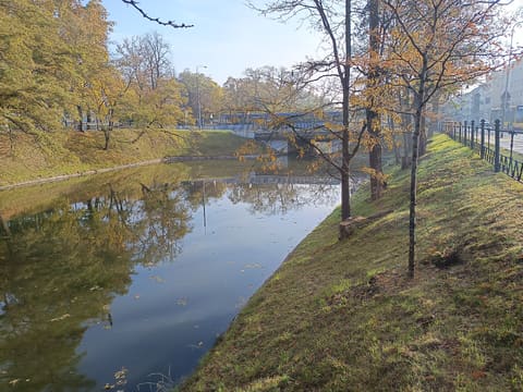The City Moat curving away between grassy banks towards the Piotra Skargi bridge, with trees reflected in the water.