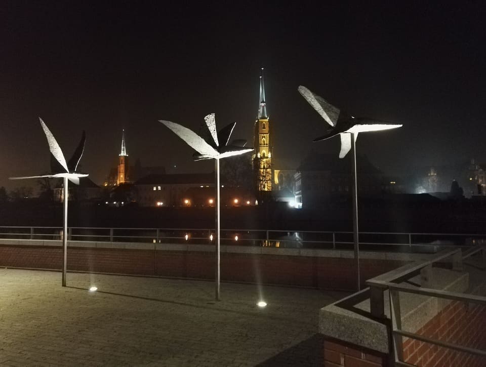 Nachtansicht über die Oder von der Terrasse am Ufer: im Vordergrund drei schlanke Stahlstangen mit metallenen Vogelfiguren, am anderen Ufer rechts die beleuchtete Spitze des Kathedralturms und links die grüne Turmspitze der Heilig-Kreuz-Kirche.