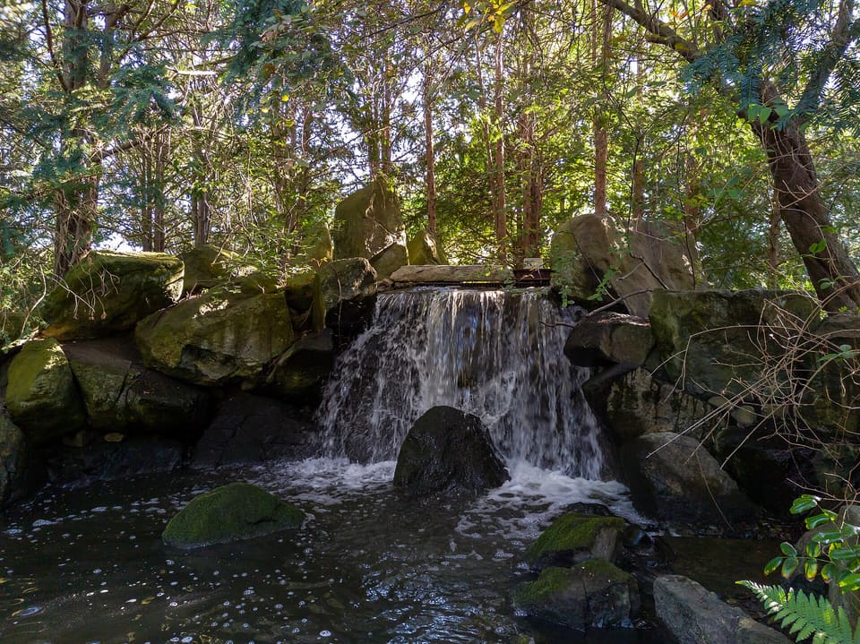 Ein kleiner Wasserfall stürzt über moosbewachsene Felsblöcke in einen Bach, umgeben von Bäumen.