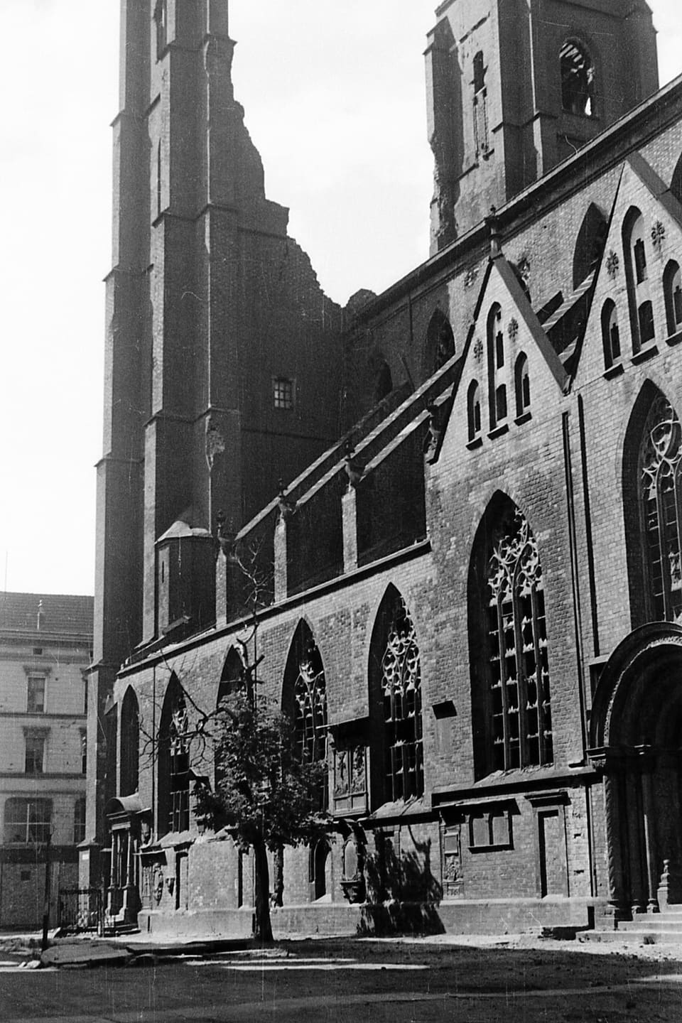 The brick Gothic church standing roofless and burnt after the war, its windows empty and a young tree growing in front, before it was rebuilt.