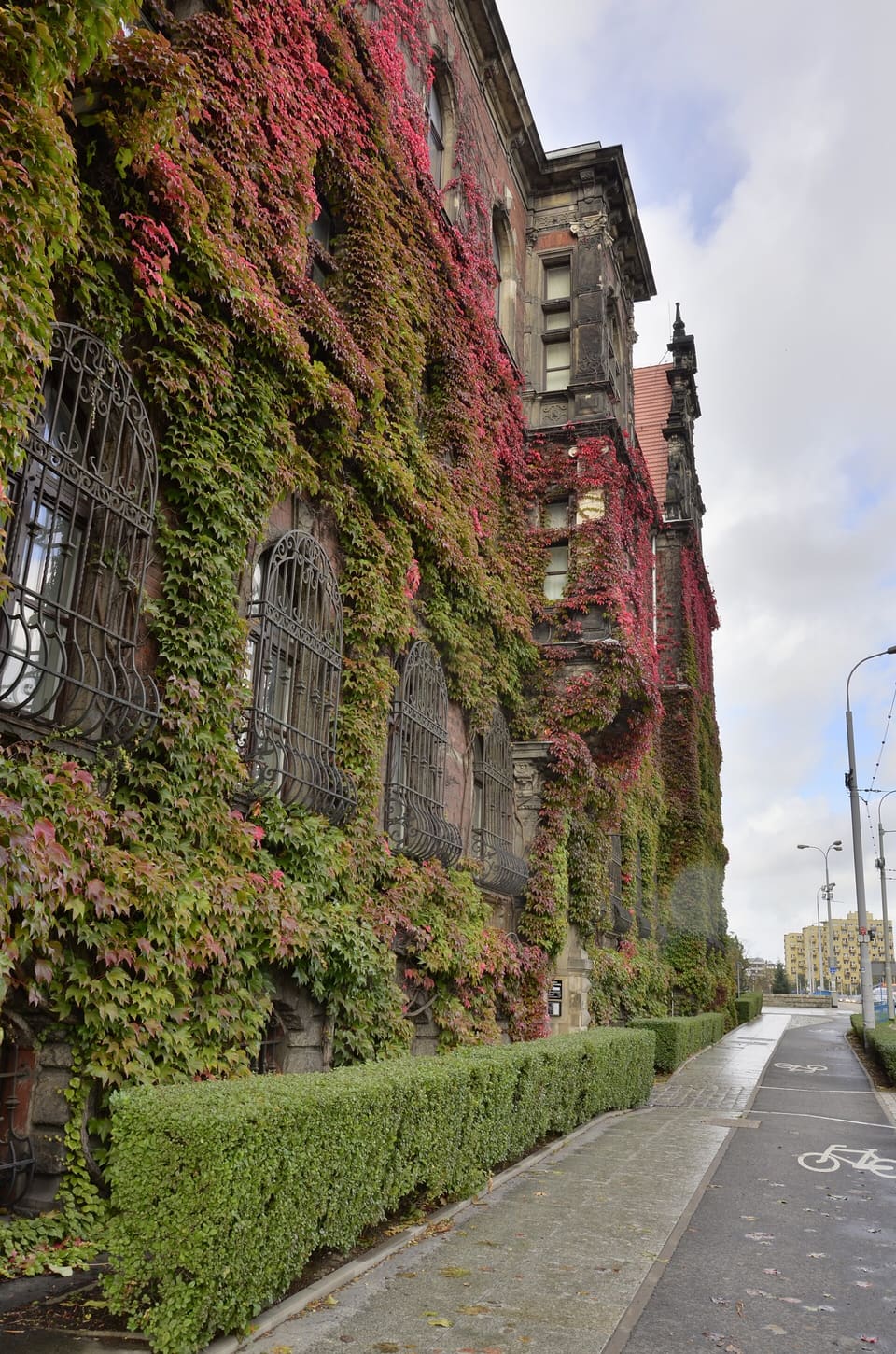 Die zur Straße gewandte Fassade des Nationalmuseums, fast vollständig von Wildem Wein bedeckt, der sich im Herbst rot und grün färbt, mit vergitterten Fenstern, die durch das Laub hindurchscheinen.