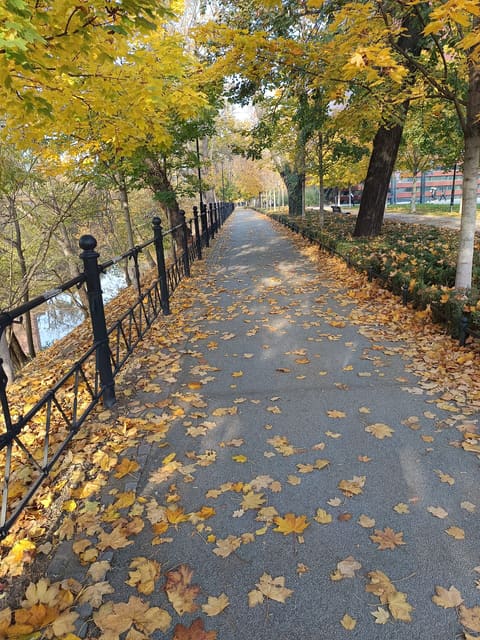 The Old Town Promenade in autumn: a path covered in fallen yellow leaves running beside an iron railing and the moat, under tall trees.