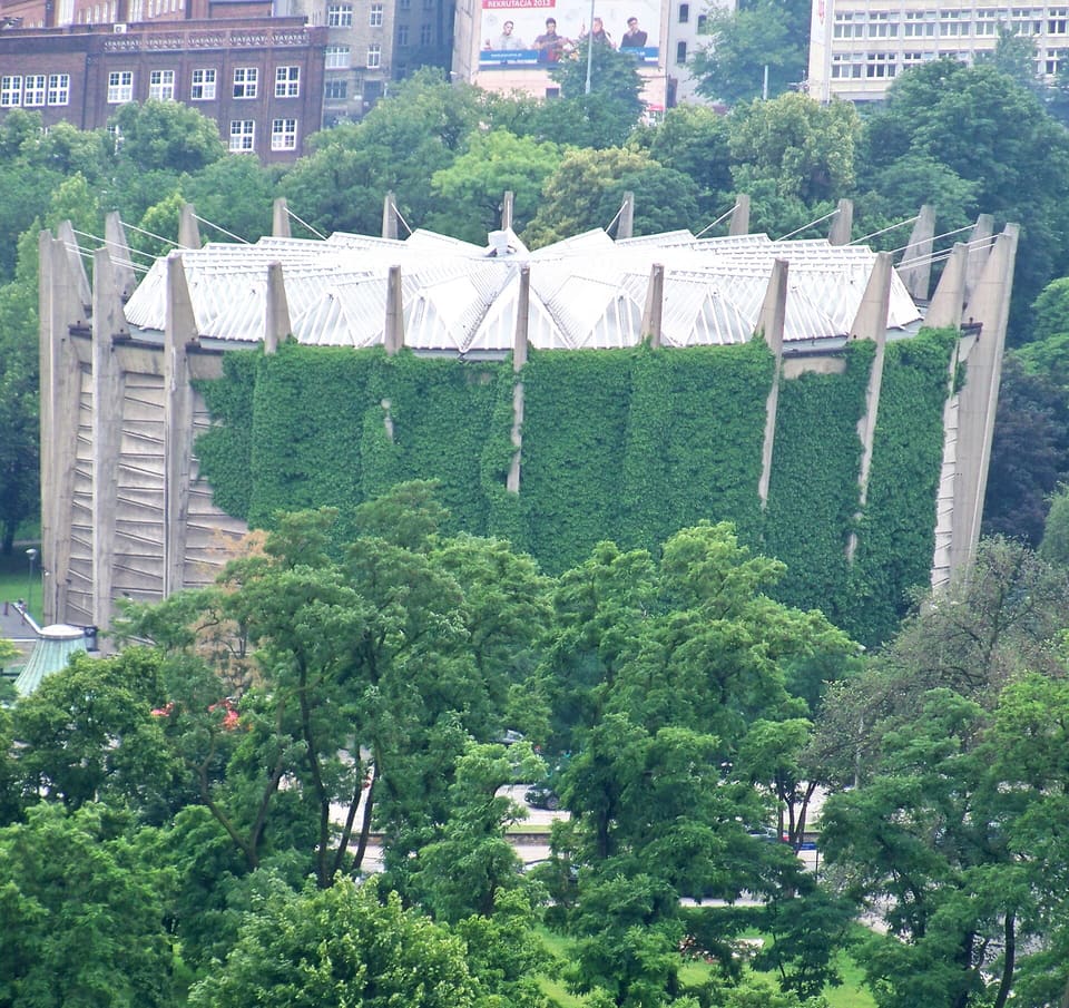 Ein Blick von oben auf die Rotunde mit ihrem gerippten Betongerüst und dem kegelförmigen Dach, das über die umgebenden Bäume ragt, Efeu an den unteren Wänden.