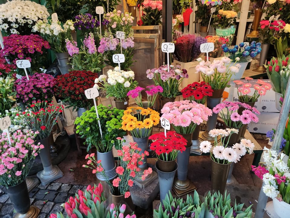 A close view of a flower stall with buckets of tulips, roses, gerberas, chrysanthemums and carnations, each bunch marked with a handwritten price tag.