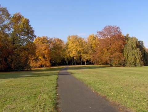 A tarmac path across a sunlit lawn towards trees in autumn colours under a clear blue sky.