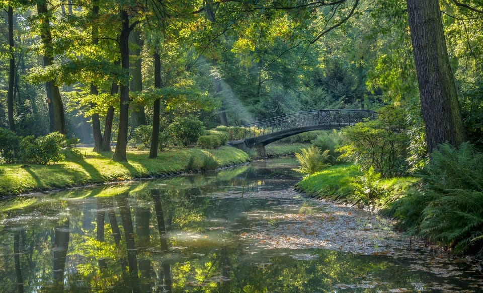 A stream in Szczytnicki Park curving under an arched footbridge, with sunlight breaking through tall trees onto the water and the banks.
