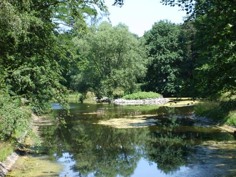 A pond in the park with trees on the far bank reflected in the still water.