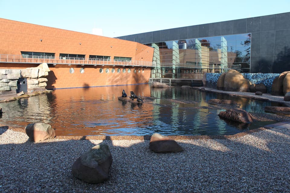 Ein Außenbecken mit Felsen und einigen Robben am Rand, neben dem Gebäude des Afrykariums mit seiner ziegelfarbenen Wand und dunklen Glasfront.